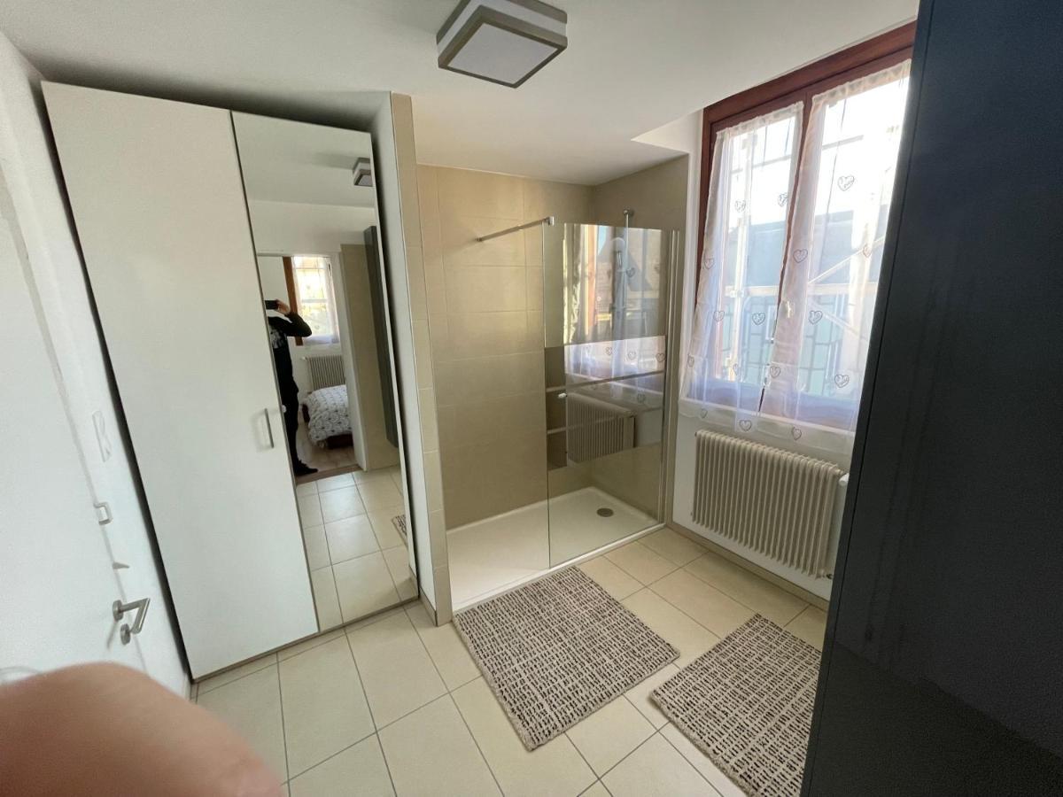 Appartement Le Fil D'Or كولمار المظهر الخارجي الصورة